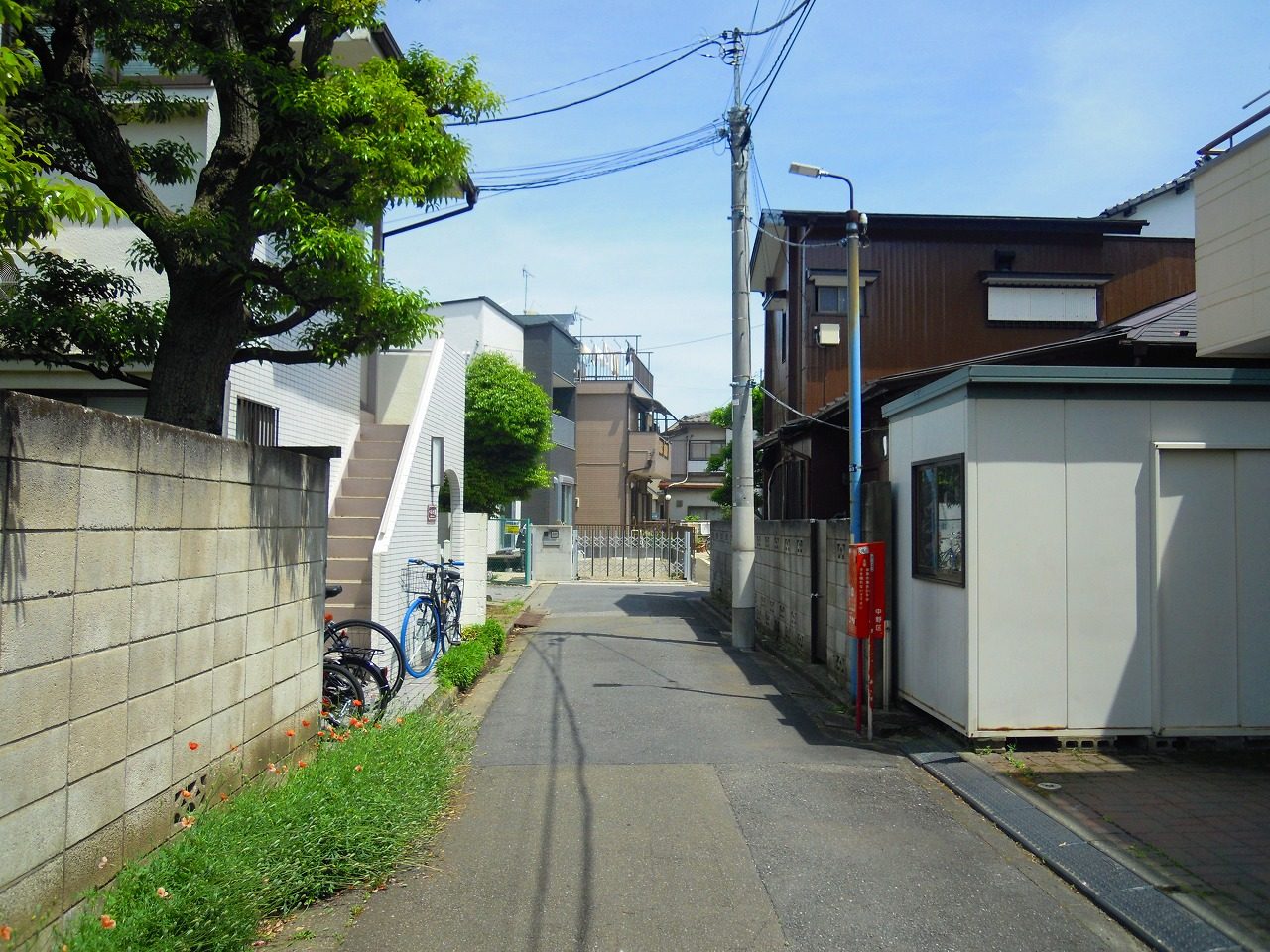 道